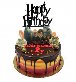 Harry Potter